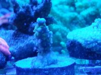 20150301_134850.jpg