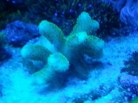 20150301_134908.jpg