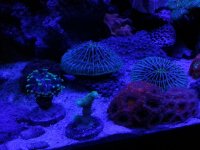 20150228_114438.jpg