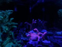 20150228_114458.jpg