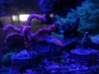 20150228_114207.jpg