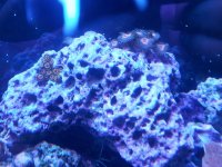 20150119_154408.jpg
