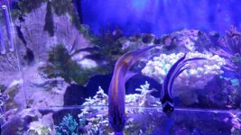 uploadfromtaptalk1429633651621.jpg