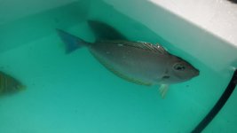 20150524_184514.jpg
