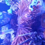 20150524_191622.jpg