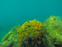 GOPR4650.jpg