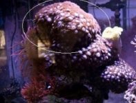 DSC03596 (Large).jpg