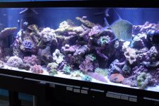 IMG_0477.jpg