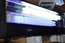 DSC_0058.jpg