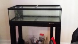 20150127_133012.jpg