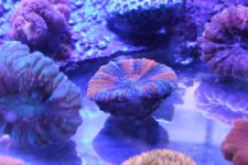 IMG_0399.jpg