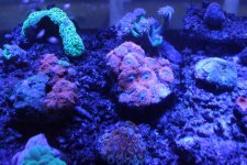 IMG_0406.jpg