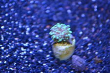 DSC_0077.jpg