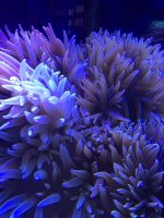 IMG_1690.jpg