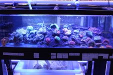 IMG_0440.jpg