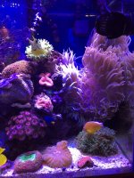 IMG_1671.JPG