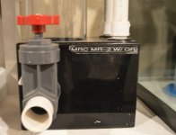 DSC_0175.jpg