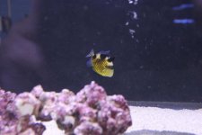 IMG_0497.jpg
