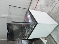 image3.jpg