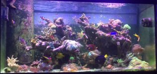 Reef Tank.jpg