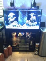IMG_0684.jpg