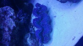 20150121_170924.jpg