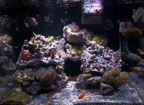 fts_2.jpg