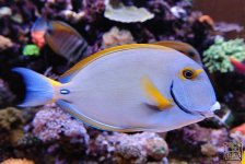 IMG_0008.JPG