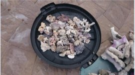 Pic7.jpg