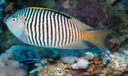 IMG_0010.jpg