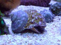 IMG_0012.JPG