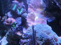 IMG_2001.JPG