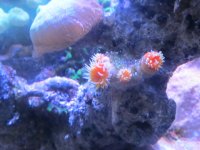 IMG_1998.JPG