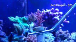 20150920_185203.jpg