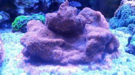 20150122_132155.jpg