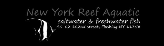 JPEG_Manhattan_reef_Logo.jpg