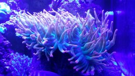 20141227_223944.jpg
