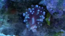 20150305_151310.jpg