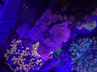 IMG_8430.jpg