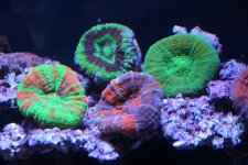 IMG_8561.jpg