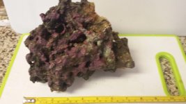 20150123_8.jpg