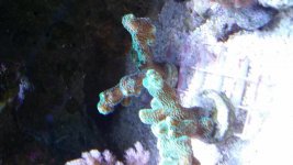 20141130_144922.jpg