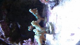 20141130_144916.jpg