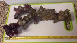 20150123_tsonga_purple sponge.jpg