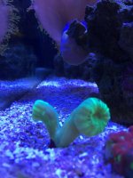 IMG_5111.jpg