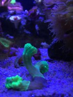 IMG_5115.jpg