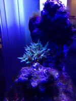 IMG_61.jpg