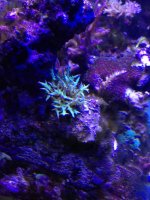 IMG_62.jpg