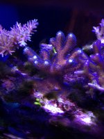 IMG_60.jpg