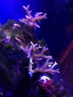 IMG_4136.jpg